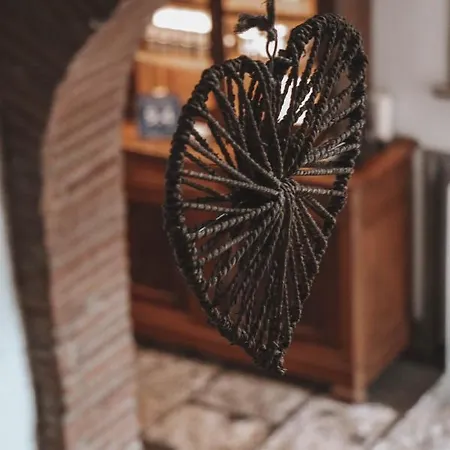 Delga Nocleg ze śniadaniem Gaillac